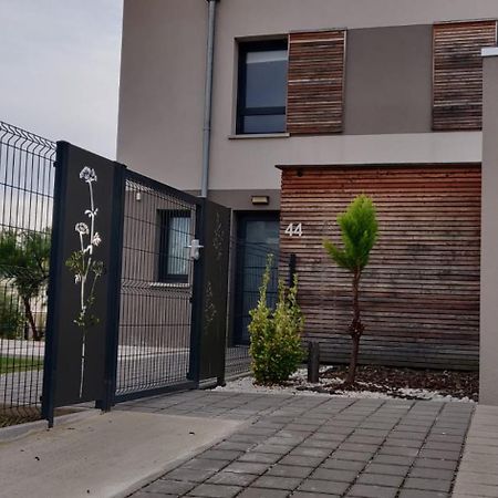 Sur La Route Des Vins - Maison Design - Colmar Eksteriør billede